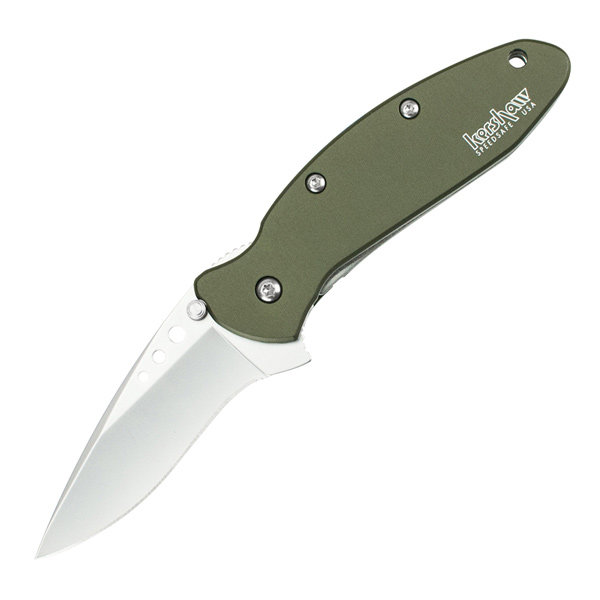 Kershaw 1620OL Scallion Assisted Knife